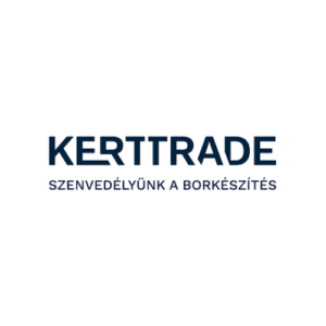 Ingyenesen letölthető online marketing tudásanyag e-könyv borítója