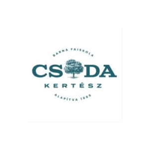 Marketinges szakember online tananyagokat böngész a Marketing Prezident oldalán